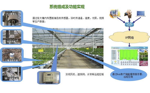 黑河逊克大棚监控方案 服务