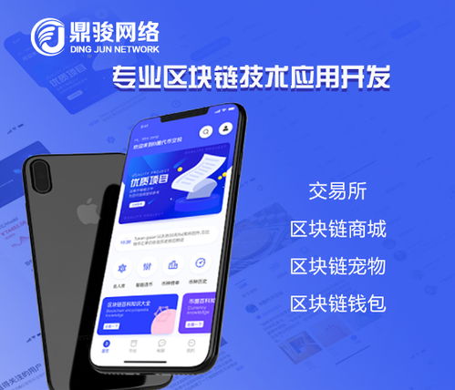 软件系统定制开发app开发公司排名