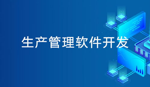 成都软件系统开发 生产管理系统定制开发