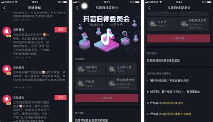 抖音网站建设是什么导读_tiktok开店流程及费用(2024年09月新更)